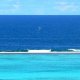 30- Encore des baleines 
